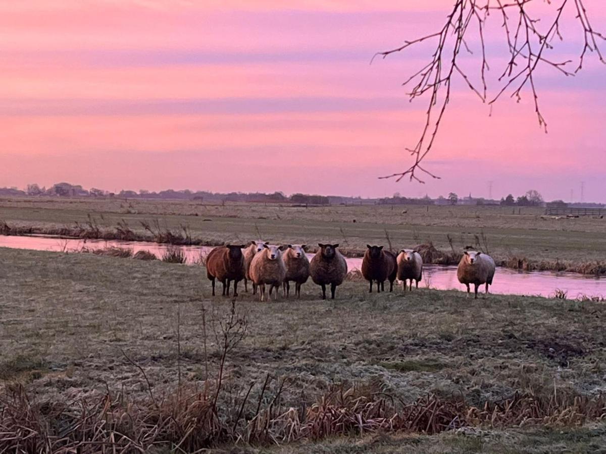 B&B De Beijersche Stee, Logies Aan De Waterkant Stolwijk Luaran gambar